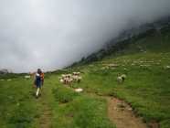 approche au milieu des moutons, les nuages recouvrant la voie sont peu engageants... (photo by Yann)