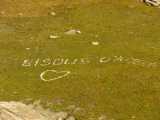 inscription enlangage cairn