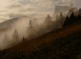 brume et Mont Aiguille
